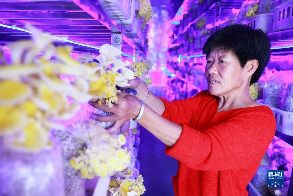 奔驰宝马游戏电玩城